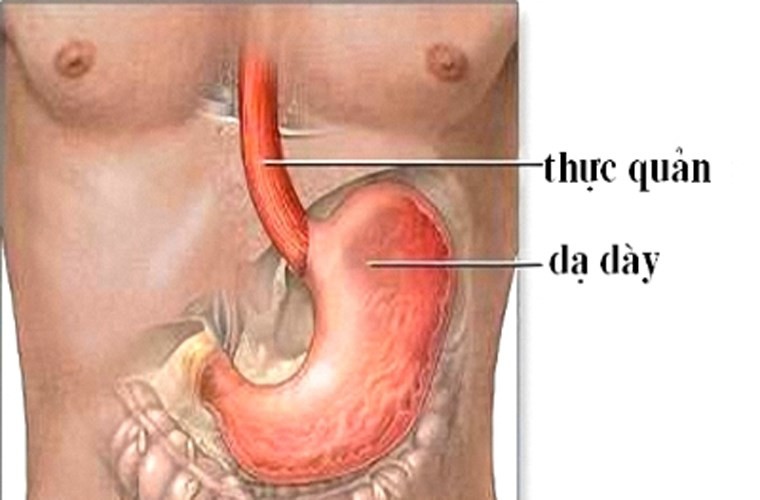 Oái oam phát hiẹn ung thu xong thì bẹnh nhan dã chét-Hinh-7